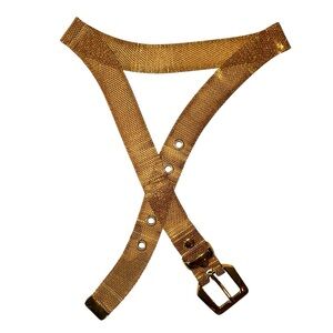 Vintage Gold Metallic Mesh Belt